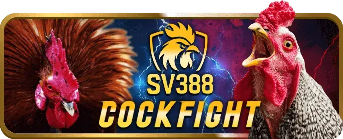 Hình ảnh cá cược thể thao với các môn bóng đá, bóng rổ, eSports tại C88